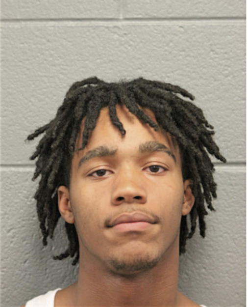 LOUIS D VALE, Cook County, Illinois