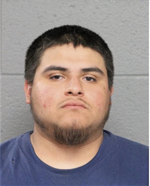 AGUSTIN N VALLEJO, Cook County, Illinois
