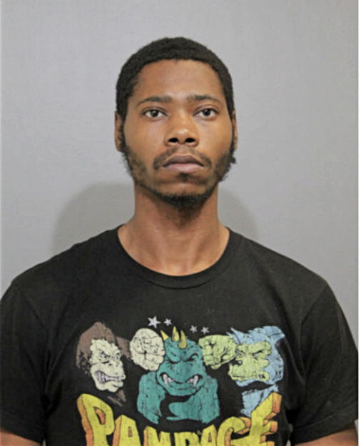 RYAN J WASHINGTON, Cook County, Illinois