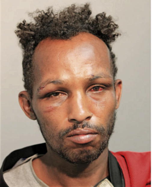SAID ABDI, Cook County, Illinois