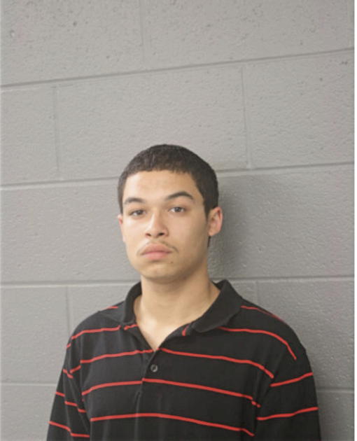 NELSON O AVILES, Cook County, Illinois
