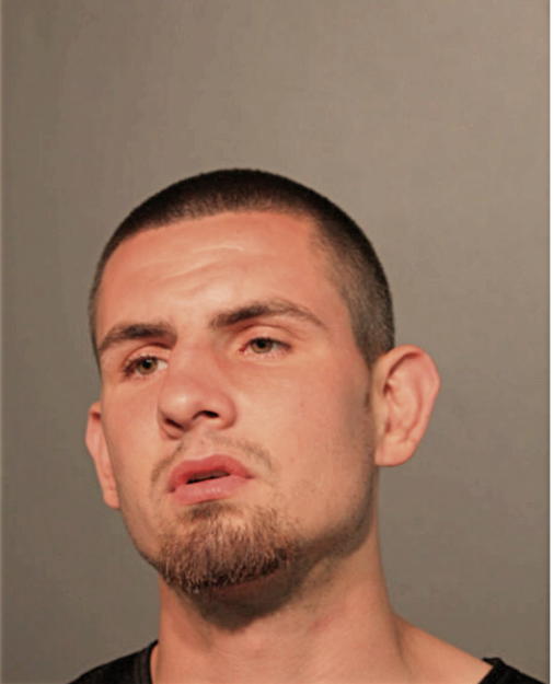 SEBASTIAN J BOBAK, Cook County, Illinois