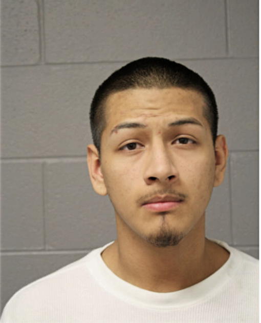 JUAN C CONTRERAS, Cook County, Illinois