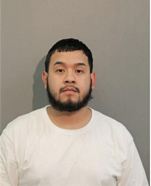 ALEXIS FLORES, Cook County, Illinois