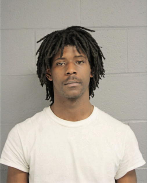DIMITRI N HAMPTON, Cook County, Illinois