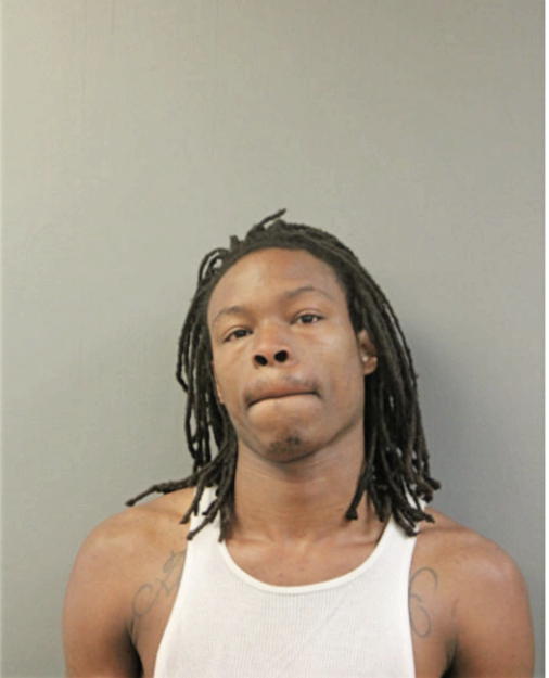 AARON L HUGHES, Cook County, Illinois