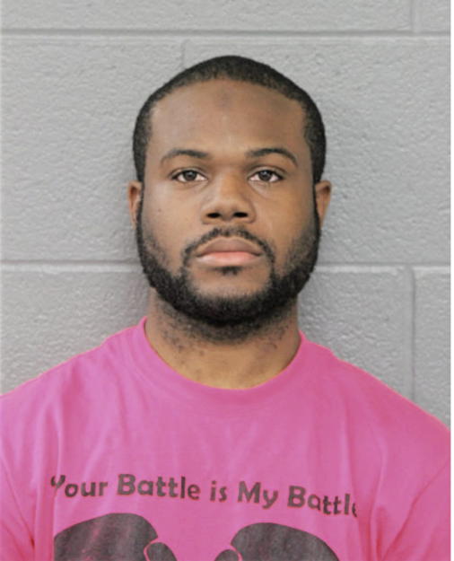 JAMES A JOHNSON, Cook County, Illinois