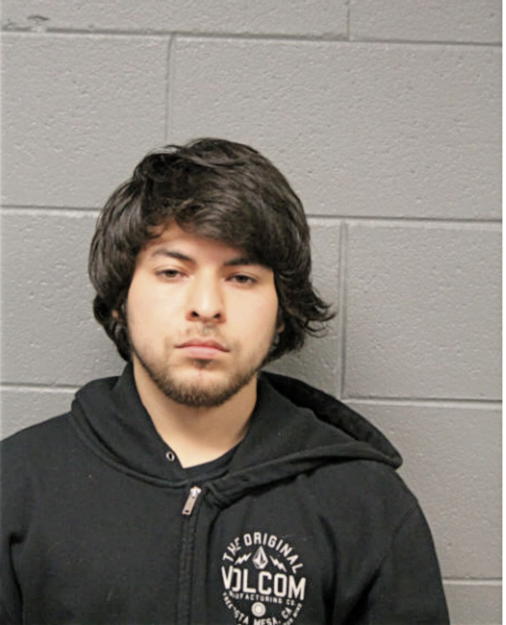 DAVID MARTINEZ, Cook County, Illinois
