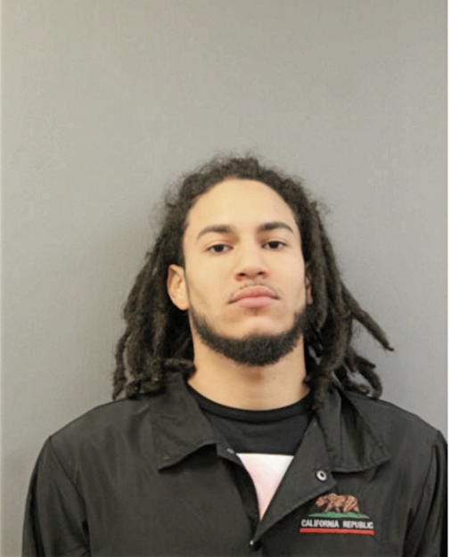 DAVID A MINAYA, Cook County, Illinois