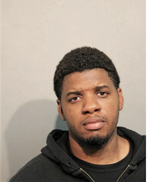 KRISTOPHER DJ NICHOLSON, Cook County, Illinois