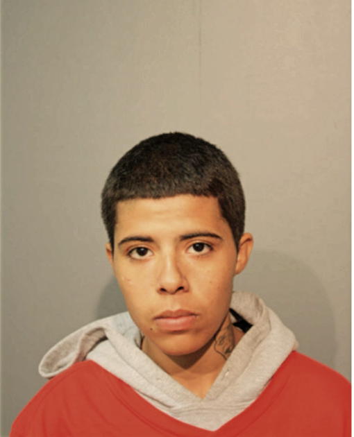 DELIANA NIEVES, Cook County, Illinois