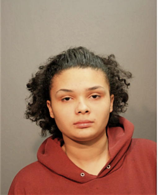 MICHELLE T ROBINSON, Cook County, Illinois
