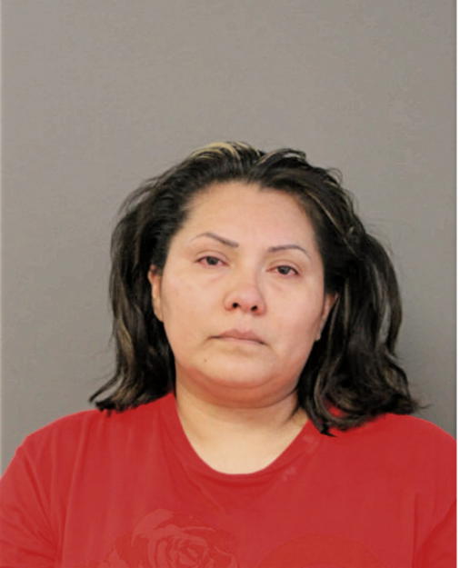 ELIZABETH V ROJAS, Cook County, Illinois