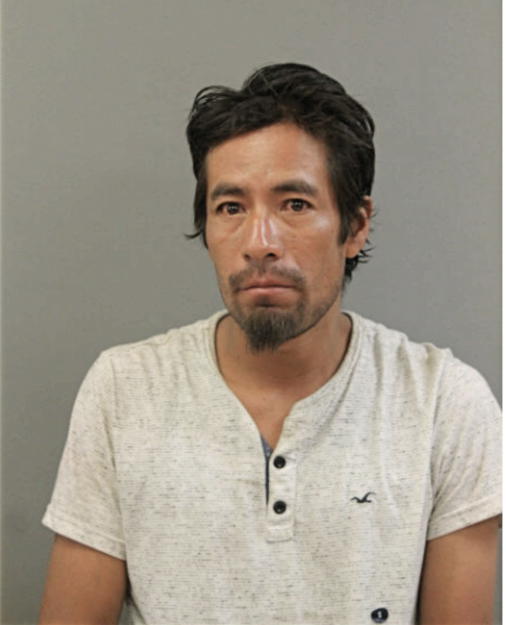 RAUL SALGADO, Cook County, Illinois