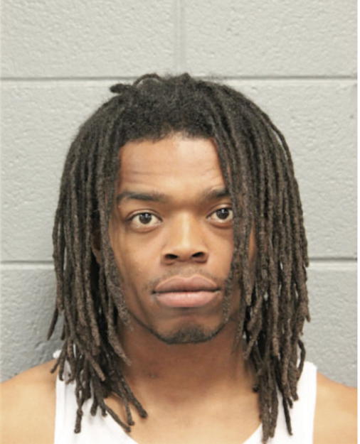 ROBERT M WARREN, Cook County, Illinois