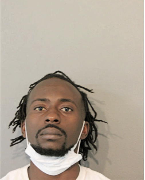 MICHAEL M ADEDOYIN, Cook County, Illinois