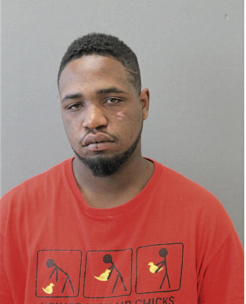 DION ALLEN, Cook County, Illinois