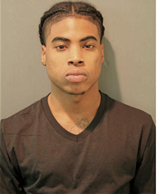 DAMARIO J BROWN, Cook County, Illinois