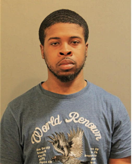 WARREN J CHRISTIAN, Cook County, Illinois