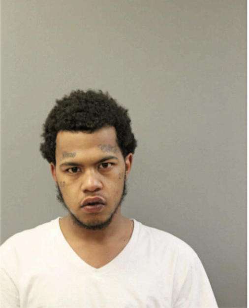 JUSTIN A CORTES, Cook County, Illinois