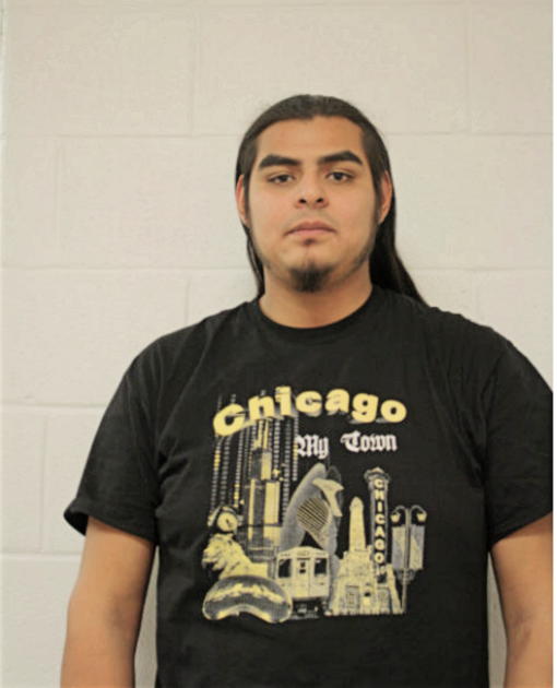 RIGOBERTO ESTRELLA, Cook County, Illinois