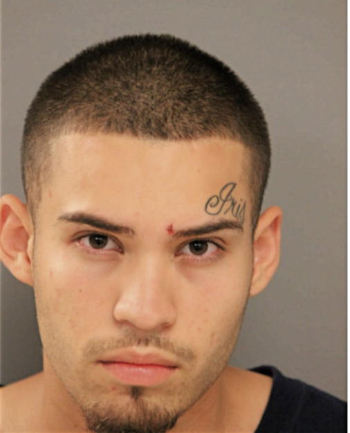 JOSE M GUZMAN, Cook County, Illinois