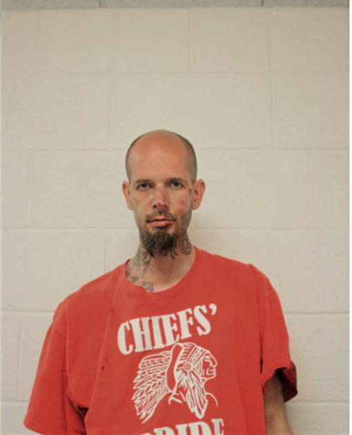 BRANDON A HOEFFLEUR, Cook County, Illinois