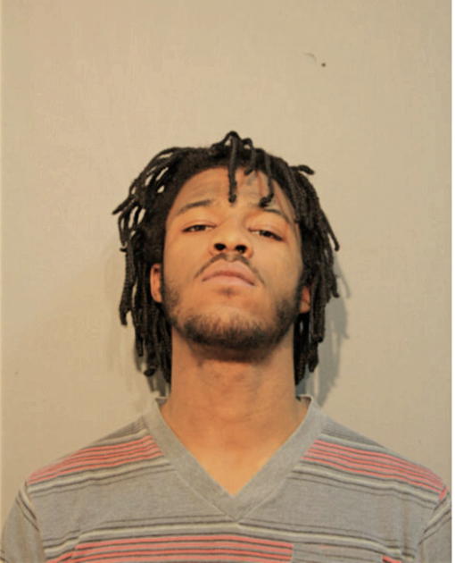 MICHAEL M JOHNSON, Cook County, Illinois