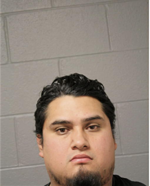 JESUS LUNA-HERNANDEZ, Cook County, Illinois