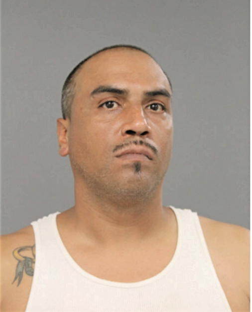 ALEXIS MARTINEZ, Cook County, Illinois