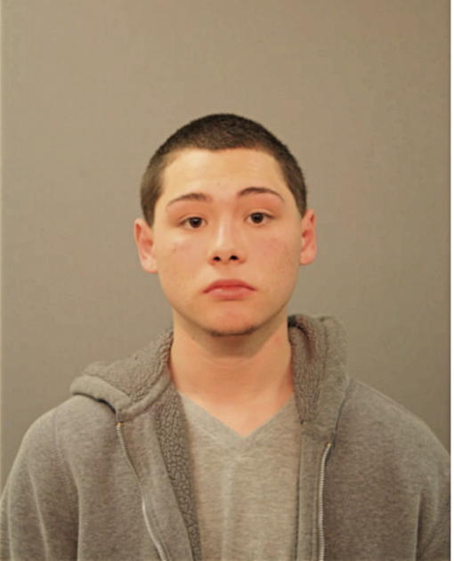 JOSE E PLASCENCIA, Cook County, Illinois