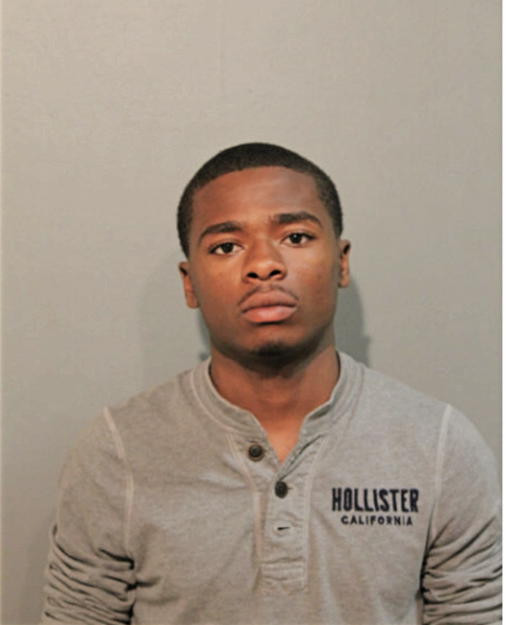 TIMOTHY N SIMMONS, Cook County, Illinois