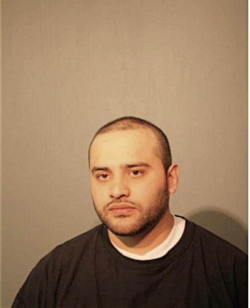 LUIS J VEGA, Cook County, Illinois