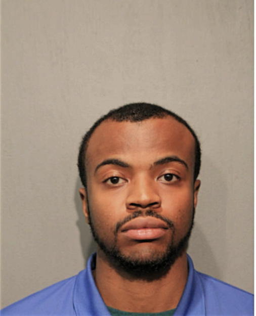 CHRISTIAN E WILLIAMS, Cook County, Illinois