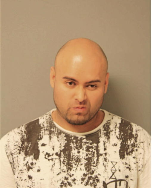 JULIO ALMAZAN, Cook County, Illinois