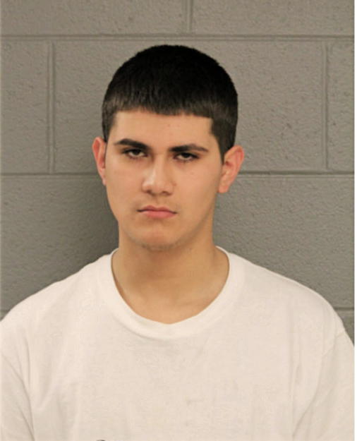ROGELIO BEDOLLA, Cook County, Illinois