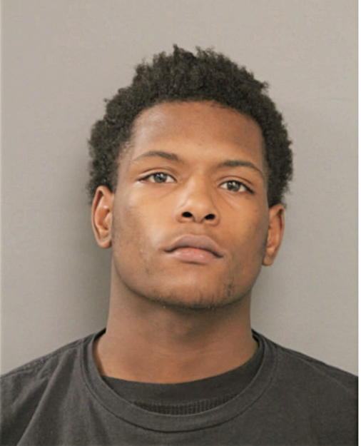 RONALD J BRYANT, Cook County, Illinois