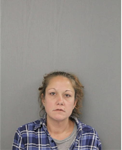 LESLIE ANNE CESAVICE, Cook County, Illinois