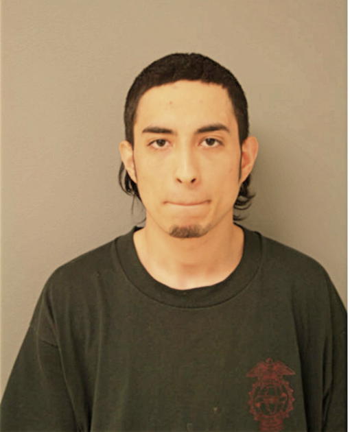 NICHOLAS J CONTRERAS, Cook County, Illinois