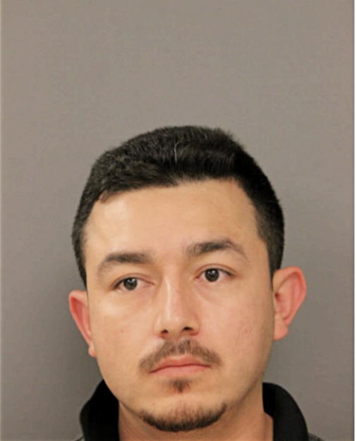 GREGORIO ESTRADA, Cook County, Illinois