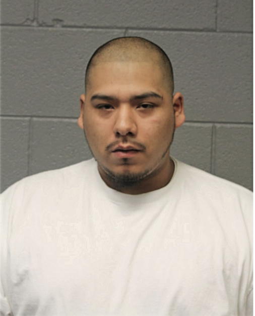 VICTOR M FONSECA, Cook County, Illinois