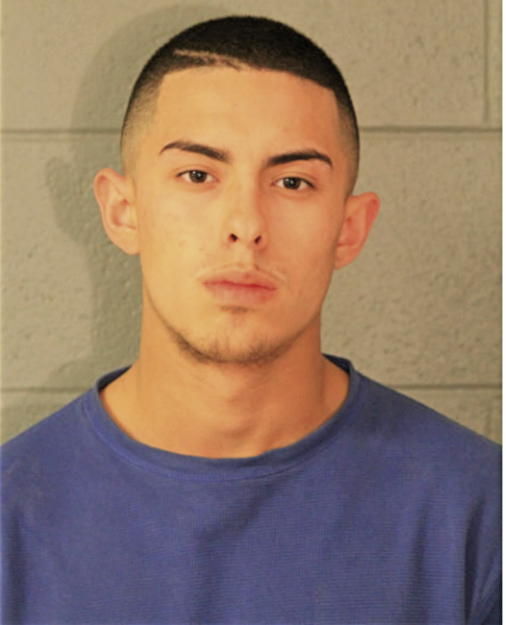 VICTOR J GARCIA, Cook County, Illinois