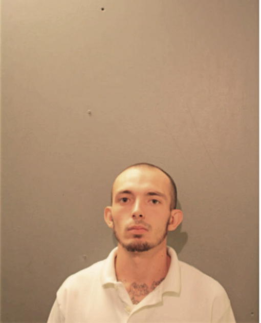 TYLER B GARRISON, Cook County, Illinois