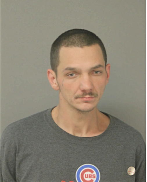 BRIAN J HAMILTON, Cook County, Illinois