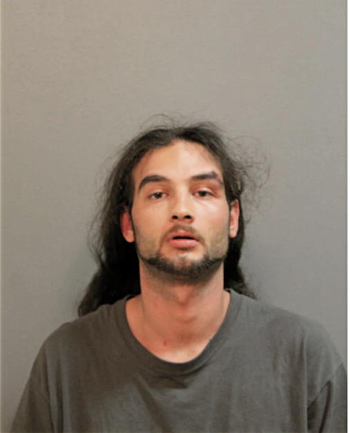 WILLIAM J JONES, Cook County, Illinois