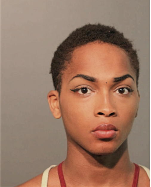 KENNETH L MANNING, Cook County, Illinois