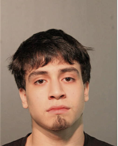 JACOB U MATHEWS, Cook County, Illinois