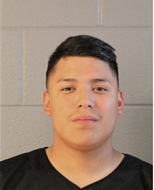 GERARDO MENDOZA, Cook County, Illinois
