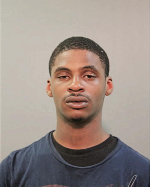 DEFERICK A NIXXON, Cook County, Illinois