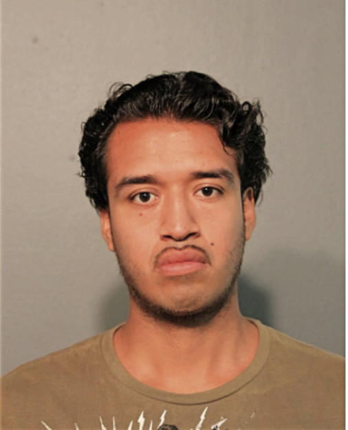 MAURICIO T OJEDO, Cook County, Illinois